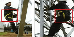 ��������Ʒ��ͼ